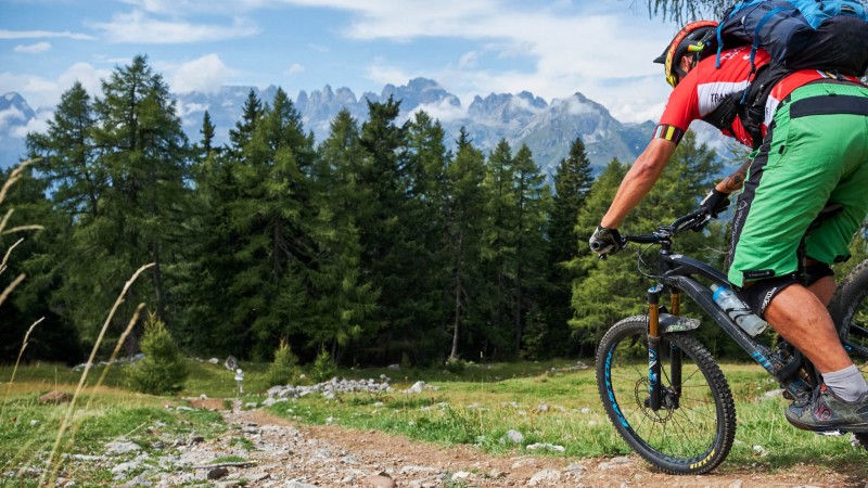 Alpen Trail Adventure