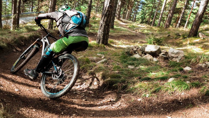 Trail Camp