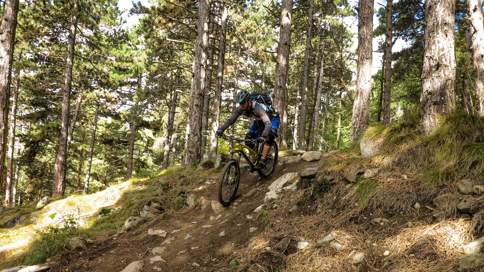 Fahrtechnik_Camp_Vinschgau_Transalptours
