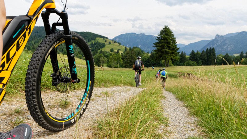 E-Bike Transalp "Cappuccino"